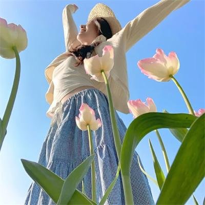 天堂岛疑云：圣诞特辑2022